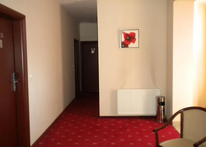 Ary Hotel Kluż-Napoka